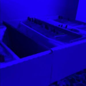 Meet your Posher, Korbin